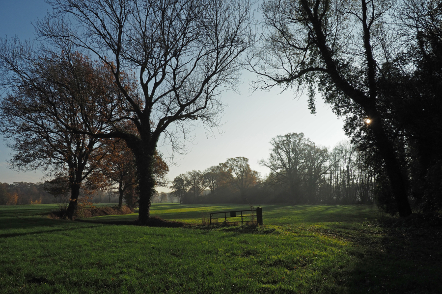 Dekzandlandschap Diepenheim Nico Kloek