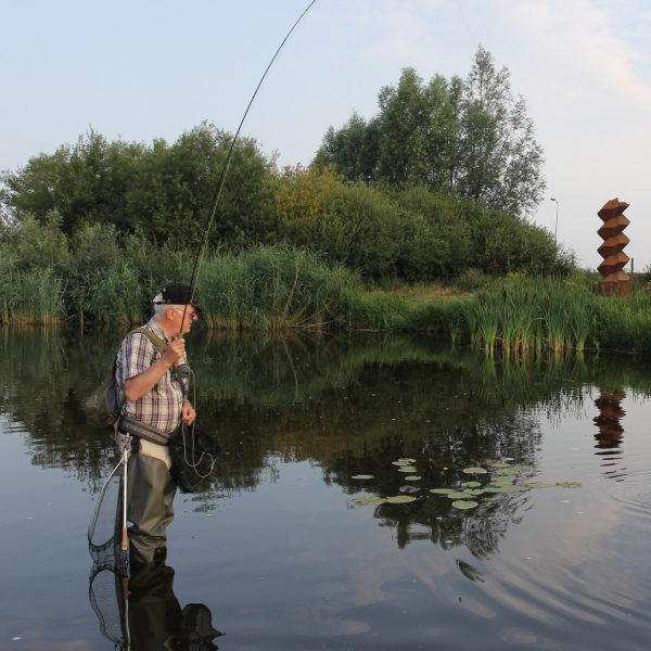 Vliegvissen in de Doorbraak