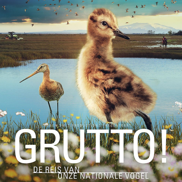 gruttofilm-poster
