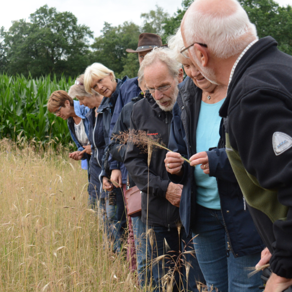 Excursie Dal van de Mosbeek