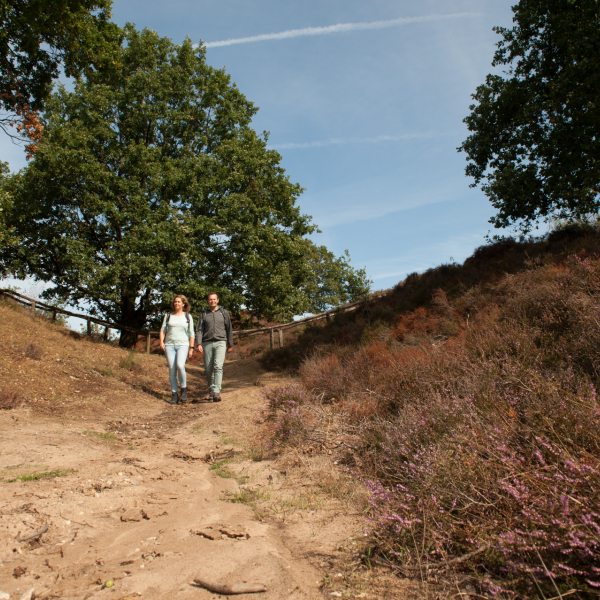 Ode aan Onverhard Wandelen