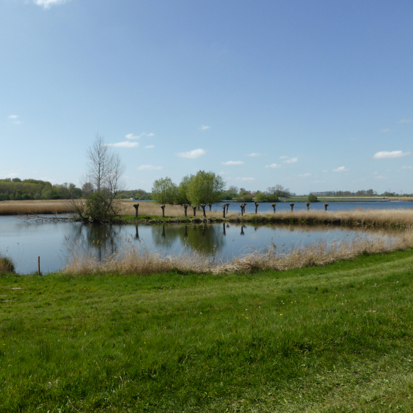 Buitenlanden Langenholte 