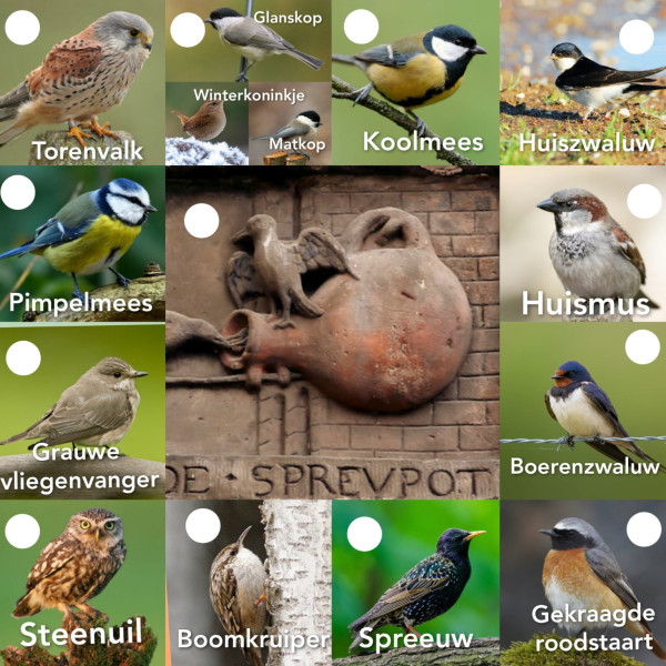 Vogelhuisjes Hof Espelo