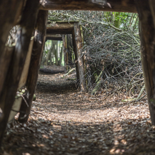 Speelnatuur de Wheem