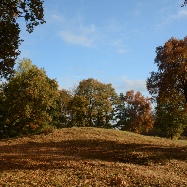 Manderheide, grafheuvel
