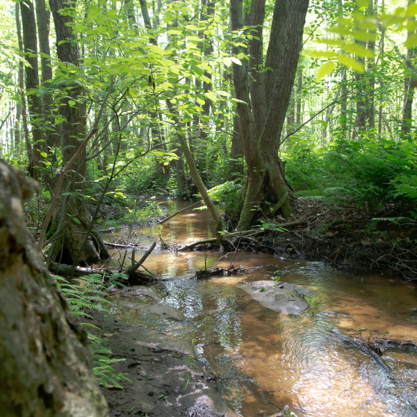 De Mosbeek, Gerard Berendsen