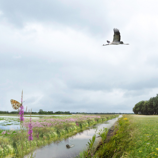 Impressie_Streitenvaart_tbv Bouwbord hoge res