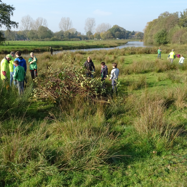 Natuurwerkgroep Regge 2017